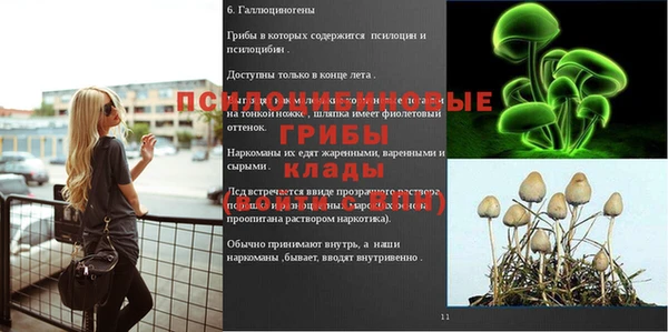 не бодяженный Балахна