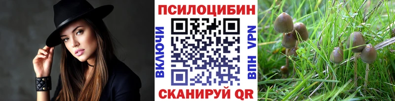 kraken ТОР  Верея  Псилоцибиновые грибы мухоморы 