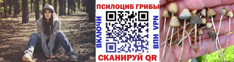 Галлюциногенные грибы Magic Shrooms Верея